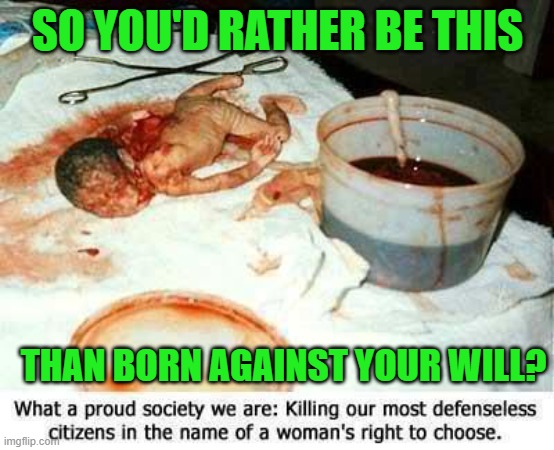 Abortion | SO YOU'D RATHER BE THIS THAN BORN AGAINST YOUR WILL? | image tagged in abortion | made w/ Imgflip meme maker