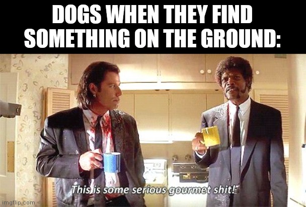 This is some serious gourmet shit | DOGS WHEN THEY FIND SOMETHING ON THE GROUND: | image tagged in this is some serious gourmet shit | made w/ Imgflip meme maker