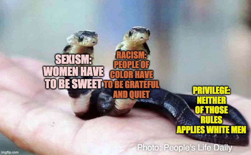 Two headed snake | SEXISM:
WOMEN HAVE TO BE SWEET RACISM: PEOPLE OF COLOR HAVE TO BE GRATEFUL AND QUIET PRIVILEGE:
NEITHER OF THOSE RULES APPLIES WHITE MEN | image tagged in two headed snake | made w/ Imgflip meme maker