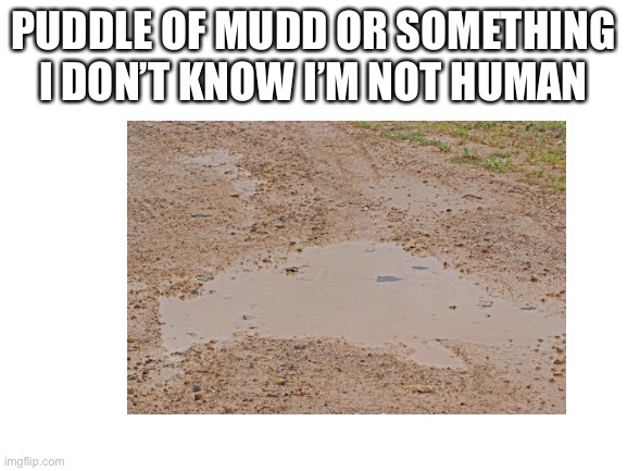 hehe mud go brrrrrr | PUDDLE OF MUDD OR SOMETHING I DON’T KNOW I’M NOT HUMAN | image tagged in blank white template,memes,mud | made w/ Imgflip meme maker