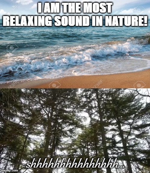 Relax... | I AM THE MOST RELAXING SOUND IN NATURE! shhhhhhhhhhhhhhh... | image tagged in nature | made w/ Imgflip meme maker