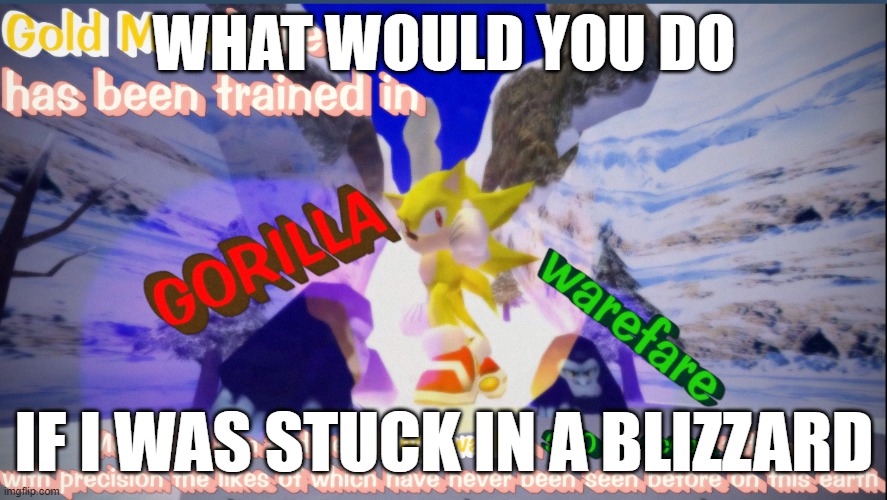 Because Originality Doesn't Exist! :D | WHAT WOULD YOU DO; IF I WAS STUCK IN A BLIZZARD | image tagged in gold man | made w/ Imgflip meme maker