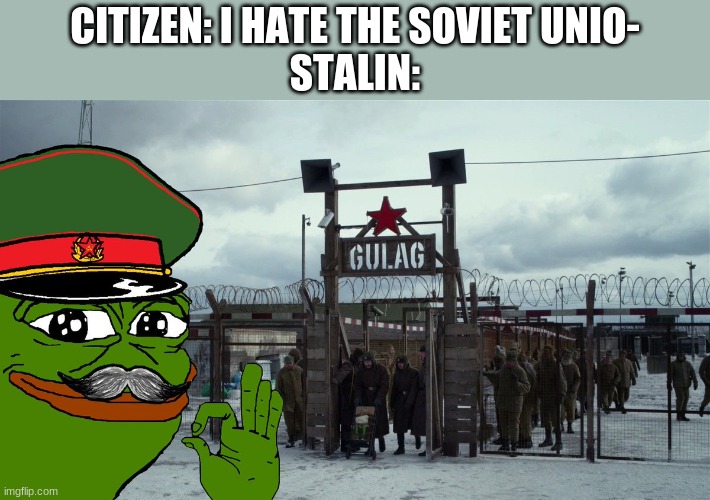 Stalin Gulag Pepe | CITIZEN: I HATE THE SOVIET UNIO-
STALIN: | image tagged in stalin gulag pepe | made w/ Imgflip meme maker