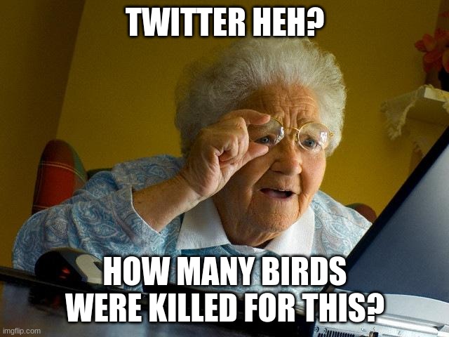 Modern Messaging | TWITTER HEH? HOW MANY BIRDS WERE KILLED FOR THIS? | image tagged in twitter | made w/ Imgflip meme maker