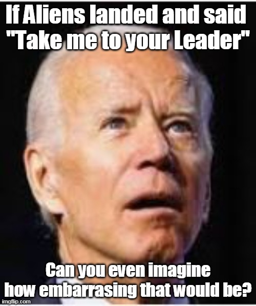 Big Guy Pops Biden | If Aliens landed and said 
"Take me to your Leader"; Can you even imagine how embarrasing that would be? | image tagged in memes | made w/ Imgflip meme maker