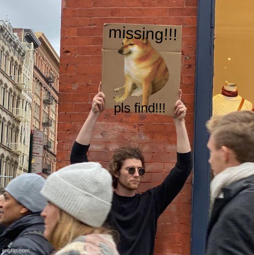 cheems is missing | missing!!! pls find!!! | image tagged in memes,guy holding cardboard sign,cheems | made w/ Imgflip meme maker