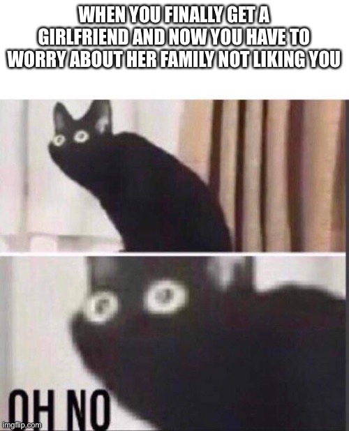 Oh no | WHEN YOU FINALLY GET A GIRLFRIEND AND NOW YOU HAVE TO WORRY ABOUT HER FAMILY NOT LIKING YOU | image tagged in oh no | made w/ Imgflip meme maker
