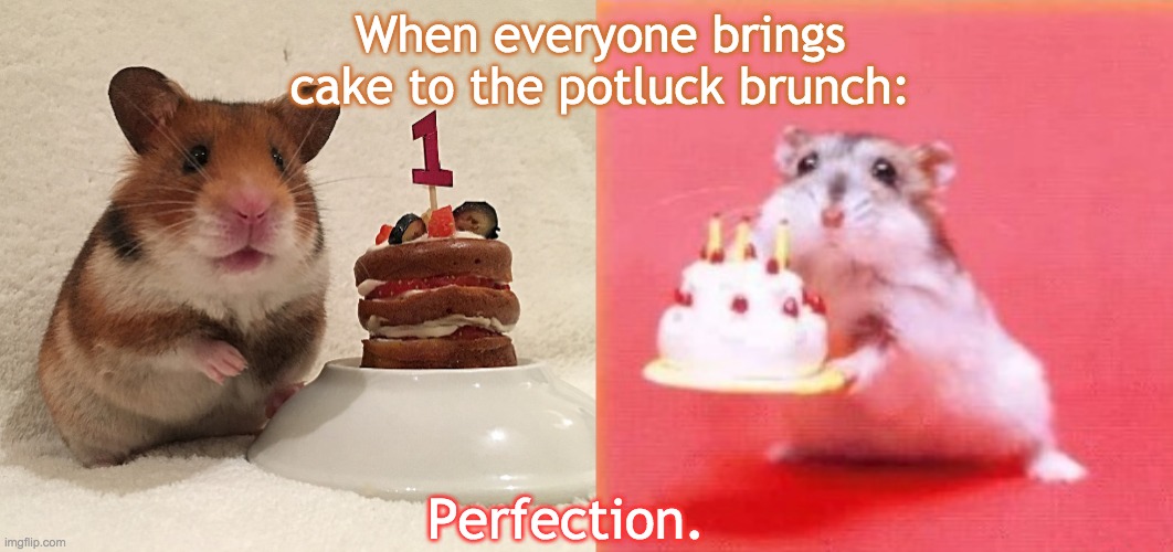 More of this, please! | When everyone brings cake to the potluck brunch:; Perfection. | image tagged in hamster cake,potluck,food,cake | made w/ Imgflip meme maker