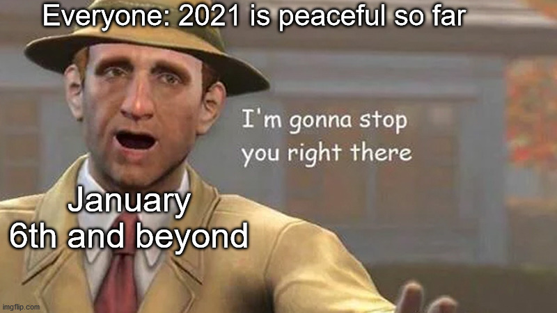January 6th was the day 2021 went downhill |  Everyone: 2021 is peaceful so far; January 6th and beyond | image tagged in i'm gonna stop you right there,im gonna stop you right there | made w/ Imgflip meme maker