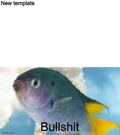 I call bullshit on your bullshit |  New template | image tagged in fish,bullshit,new template | made w/ Imgflip meme maker