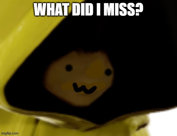 Six OwO | WHAT DID I MISS? | image tagged in six owo | made w/ Imgflip meme maker