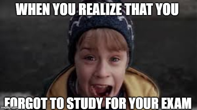 Home Alone At School | WHEN YOU REALIZE THAT YOU; FORGOT TO STUDY FOR YOUR EXAM | image tagged in memes | made w/ Imgflip meme maker