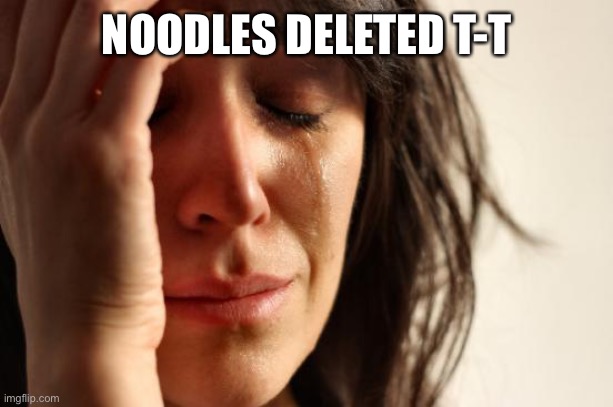 First World Problems | NOODLES DELETED T-T | image tagged in memes,first world problems | made w/ Imgflip meme maker