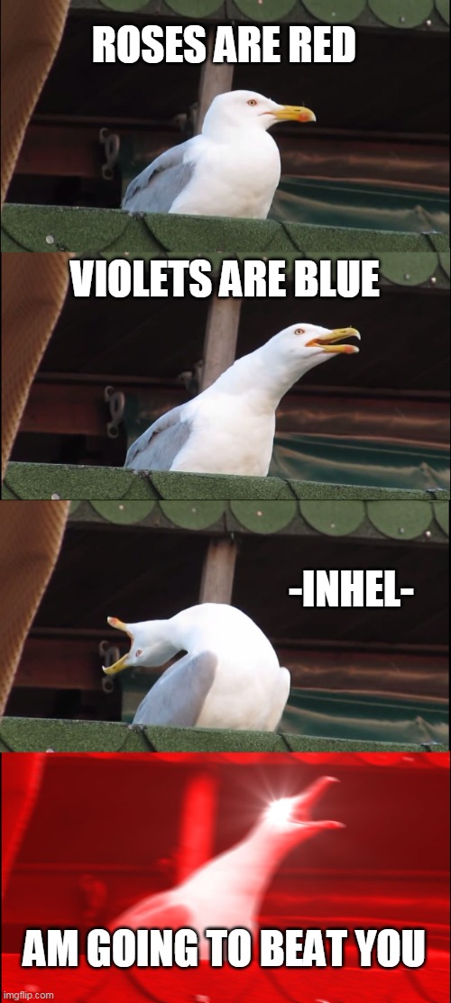 TRYHARDS AND TOXIC BOIS BE LIKE | ROSES ARE RED; VIOLETS ARE BLUE; -INHEL-; AM GOING TO BEAT YOU | image tagged in memes,inhaling seagull,sweaty tryhard,toxic | made w/ Imgflip meme maker
