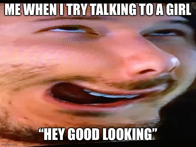 Hoi | ME WHEN I TRY TALKING TO A GIRL; “HEY GOOD LOOKING” | image tagged in funny memes | made w/ Imgflip meme maker