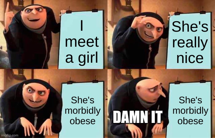 Gru's Plan Meme | I meet a girl; She's really nice; She's morbidly obese; She's morbidly obese; DAMN IT | image tagged in memes,gru's plan | made w/ Imgflip meme maker