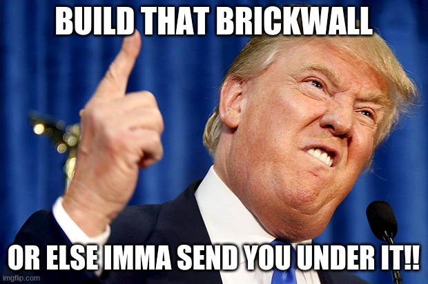 Donald Trump | BUILD THAT BRICKWALL; OR ELSE IMMA SEND YOU UNDER IT!! | image tagged in donald trump | made w/ Imgflip meme maker