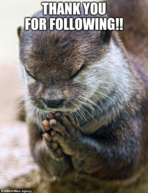 Thank you Lord Otter | THANK YOU FOR FOLLOWING!! | image tagged in thank you lord otter | made w/ Imgflip meme maker