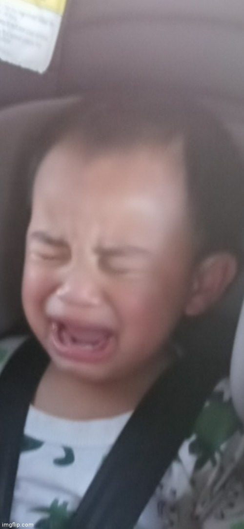 How famous can this picture of my baby brother crying get? | image tagged in lol so funny,pls help | made w/ Imgflip meme maker