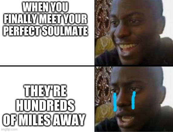 Why does this always happen | WHEN YOU FINALLY MEET YOUR PERFECT SOULMATE; THEY'RE HUNDREDS OF MILES AWAY | image tagged in oh yeah oh no,online dating,mood | made w/ Imgflip meme maker