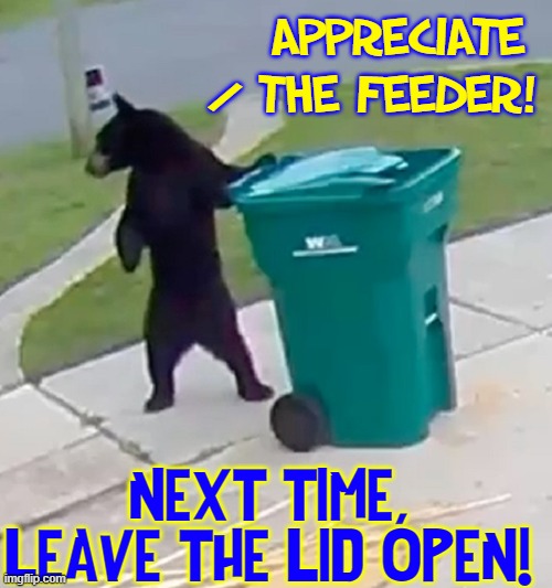 He thinks it's a grocery basket... | APPRECIATE THE FEEDER! /; NEXT TIME, LEAVE THE LID OPEN! | image tagged in vince vance,bears,garbage can,memes,trash can,funny animal meme | made w/ Imgflip meme maker