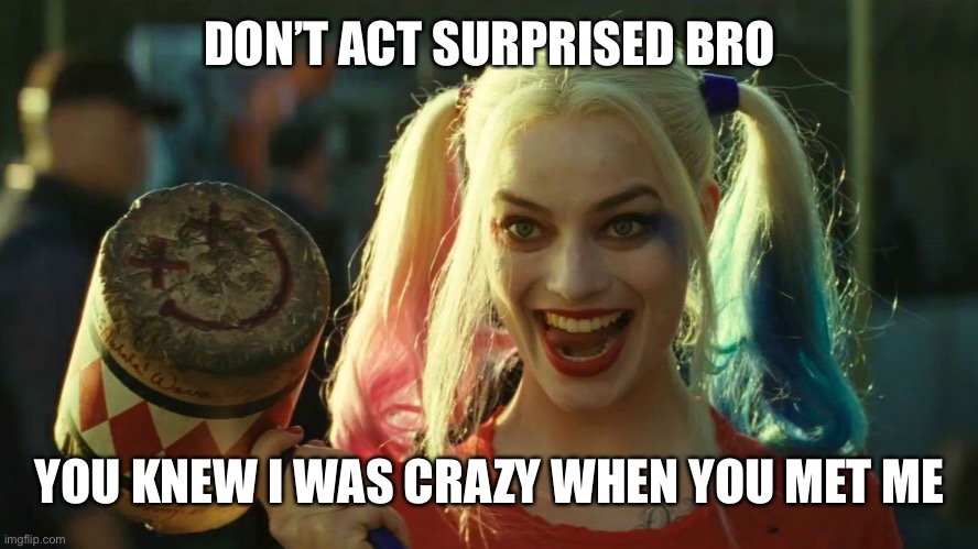 Crazy | DON’T ACT SURPRISED BRO; YOU KNEW I WAS CRAZY WHEN YOU MET ME | image tagged in harley quinn hammer | made w/ Imgflip meme maker