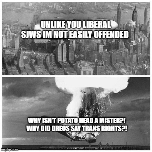 Liberal Hypocrisy | UNLIKE YOU LIBERAL SJWS IM NOT EASILY OFFENDED; WHY ISN'T POTATO HEAD A MISTER?!
WHY DID OREOS SAY TRANS RIGHTS?! | image tagged in blimp explosion | made w/ Imgflip meme maker