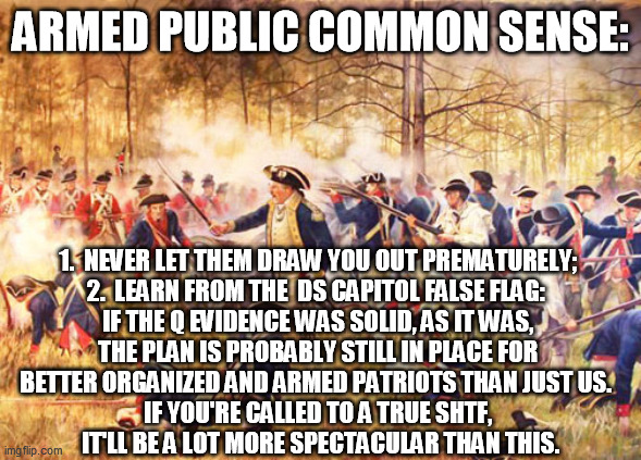 Revolutionary War | ARMED PUBLIC COMMON SENSE: 1.  NEVER LET THEM DRAW YOU OUT PREMATURELY; 
2.  LEARN FROM THE  DS CAPITOL FALSE FLAG:  
IF THE Q EVIDENCE WAS  | image tagged in revolutionary war | made w/ Imgflip meme maker