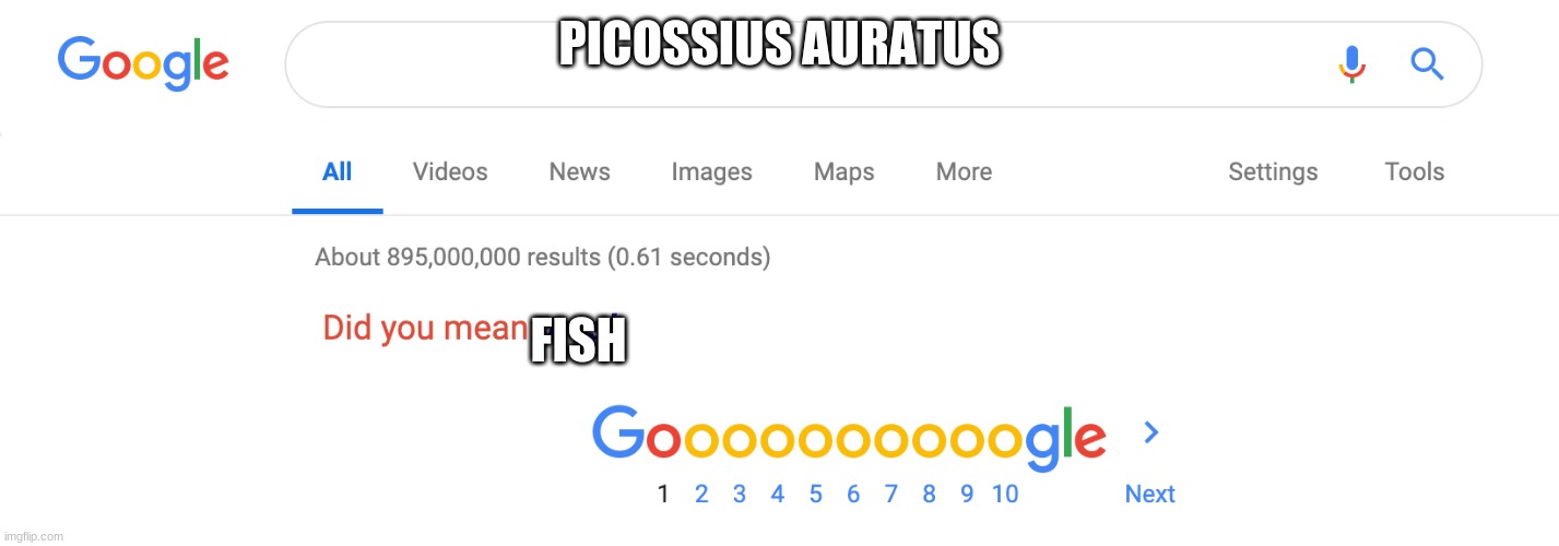 did you mean trash | PICOSSIUS AURATUS FISH | image tagged in did you mean trash | made w/ Imgflip meme maker