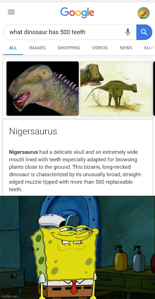 i think the dinosoar was named after the country. igmflip its named after a country and its not a slur in this context!!!!! | image tagged in memes,don't you squidward | made w/ Imgflip meme maker