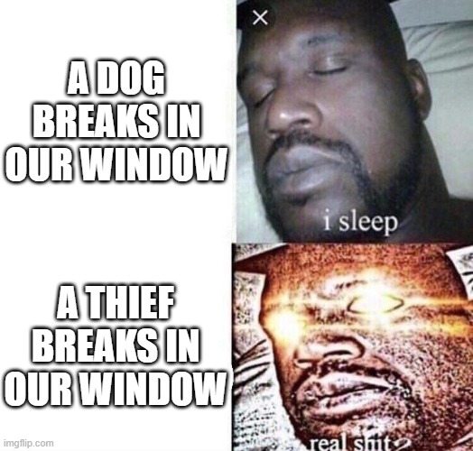i sleep real shit | A DOG BREAKS IN OUR WINDOW; A THIEF BREAKS IN OUR WINDOW | image tagged in i sleep real shit | made w/ Imgflip meme maker