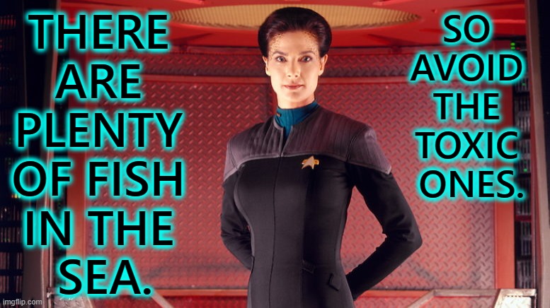 Jadzia's Fish Wisdom | THERE 
ARE 
PLENTY 
OF FISH 
IN THE 
SEA. SO 
AVOID 
THE 
TOXIC 
ONES. | image tagged in jadzia dax chief science officer,jadzia,plenty of fish | made w/ Imgflip meme maker