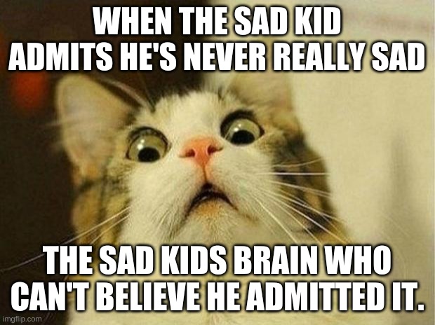 Scared Cat Meme | WHEN THE SAD KID ADMITS HE'S NEVER REALLY SAD; THE SAD KIDS BRAIN WHO CAN'T BELIEVE HE ADMITTED IT. | image tagged in memes,scared cat | made w/ Imgflip meme maker