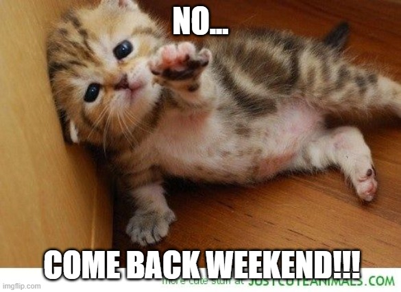 Weekend NOOOO! Come back. Come back!  | NO... COME BACK WEEKEND!!! | image tagged in weekend noooo come back come back | made w/ Imgflip meme maker