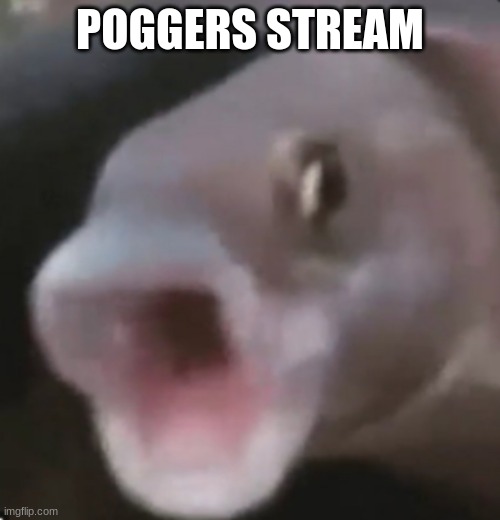 Poggers Fish | POGGERS STREAM | image tagged in poggers fish | made w/ Imgflip meme maker