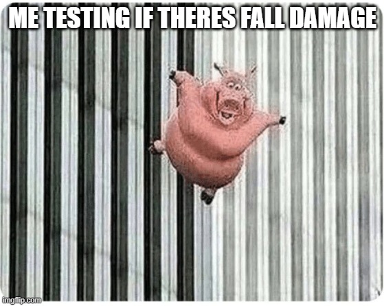 Pig jumping off | ME TESTING IF THERES FALL DAMAGE | image tagged in pig jumping off | made w/ Imgflip meme maker