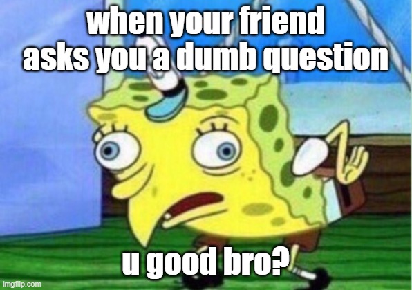Mocking Spongebob Meme | when your friend asks you a dumb question; u good bro? | image tagged in memes,mocking spongebob | made w/ Imgflip meme maker