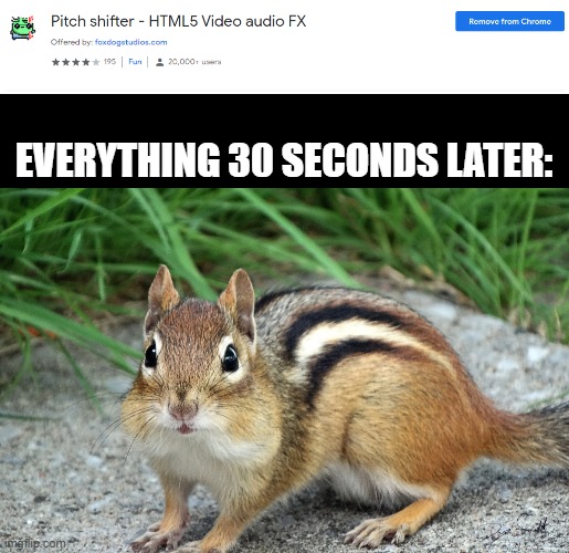 idk |  EVERYTHING 30 SECONDS LATER: | image tagged in idk,chipmunk,memes | made w/ Imgflip meme maker