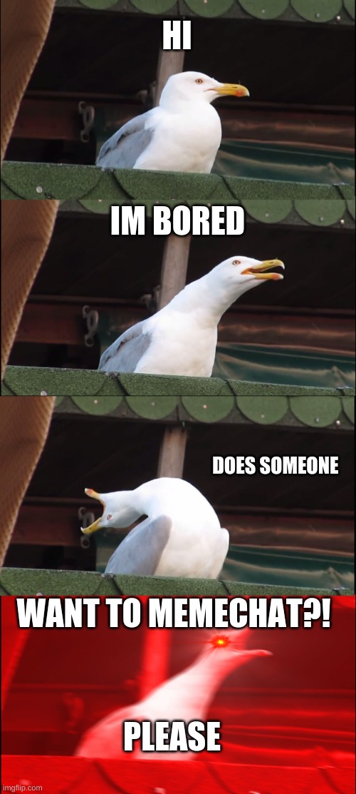 Inhaling Seagull | HI; IM BORED; DOES SOMEONE; WANT TO MEMECHAT?! PLEASE | image tagged in memes,inhaling seagull | made w/ Imgflip meme maker
