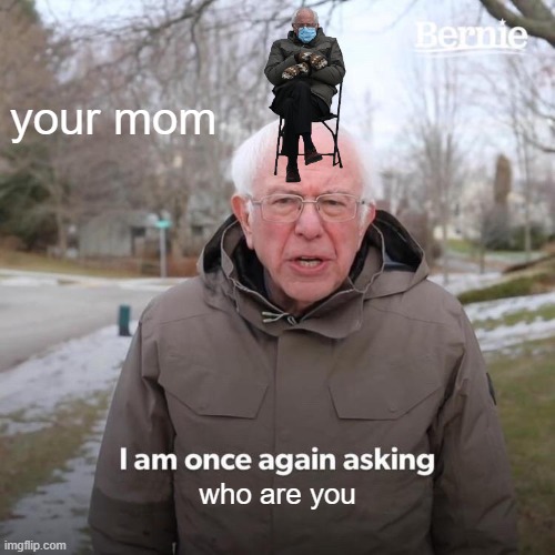 Bernie I Am Once Again Asking For Your Support | your mom; who are you | image tagged in memes,bernie i am once again asking for your support | made w/ Imgflip meme maker