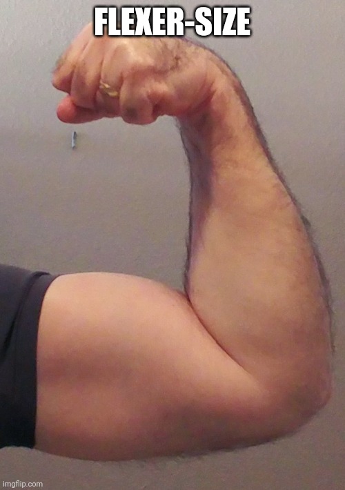 Flex | FLEXER-SIZE | image tagged in muscles,biceps,arms,guns | made w/ Imgflip meme maker