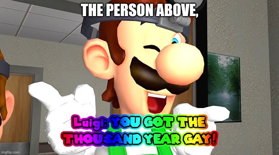 Thousand year gay! | THE PERSON ABOVE, | image tagged in thousand year gay | made w/ Imgflip meme maker