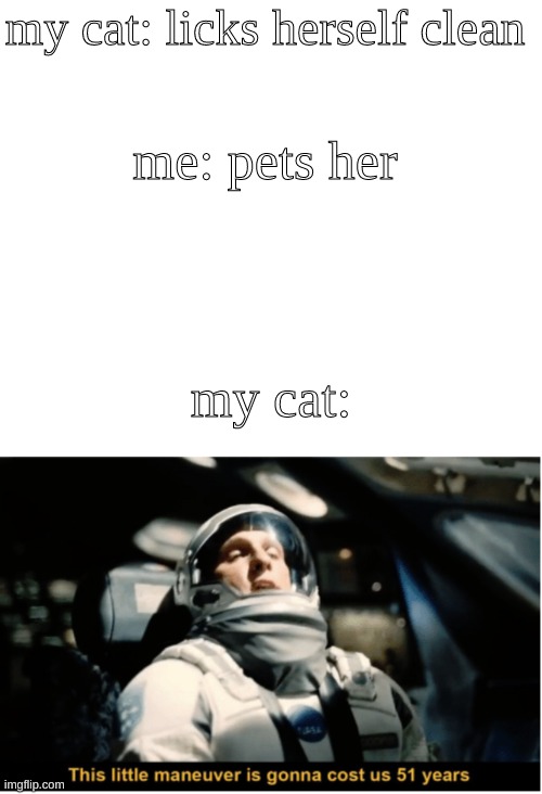 i had this idea at midnight and could not sleep until i made it | my cat: licks herself clean; me: pets her; my cat: | image tagged in this little manuever is gonna cost us 51 years,cat,clean | made w/ Imgflip meme maker