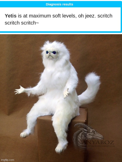wot- | image tagged in memes,persian cat room guardian single | made w/ Imgflip meme maker