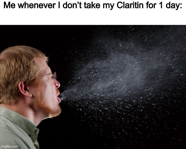 Damn you for eternity, dust mites | Me whenever I don’t take my Claritin for 1 day: | image tagged in sneeze | made w/ Imgflip meme maker