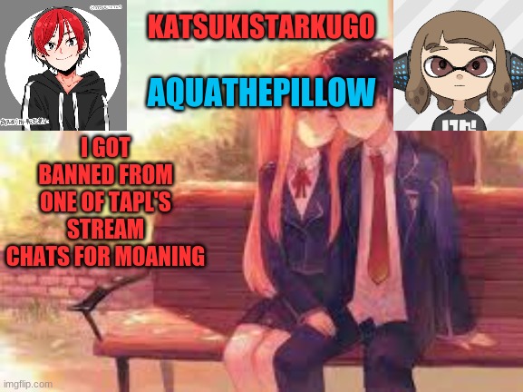 KatsukiStarkugoXAquathepillow | I GOT BANNED FROM ONE OF TAPL'S STREAM CHATS FOR MOANING | image tagged in katsukistarkugoxaquathepillow | made w/ Imgflip meme maker