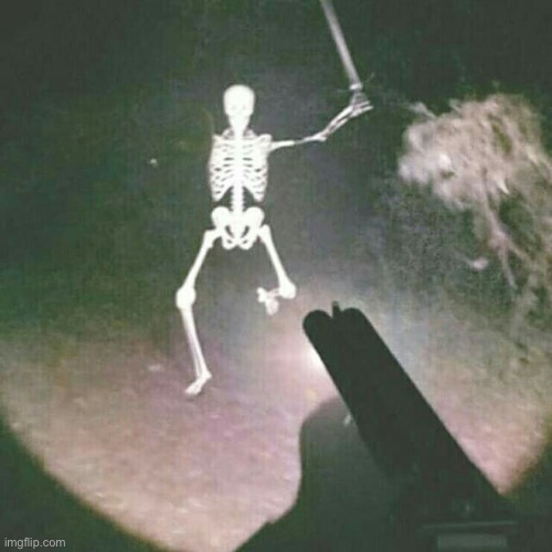 just found this cursed skeleton | image tagged in skeleton,cursed,wait what | made w/ Imgflip meme maker
