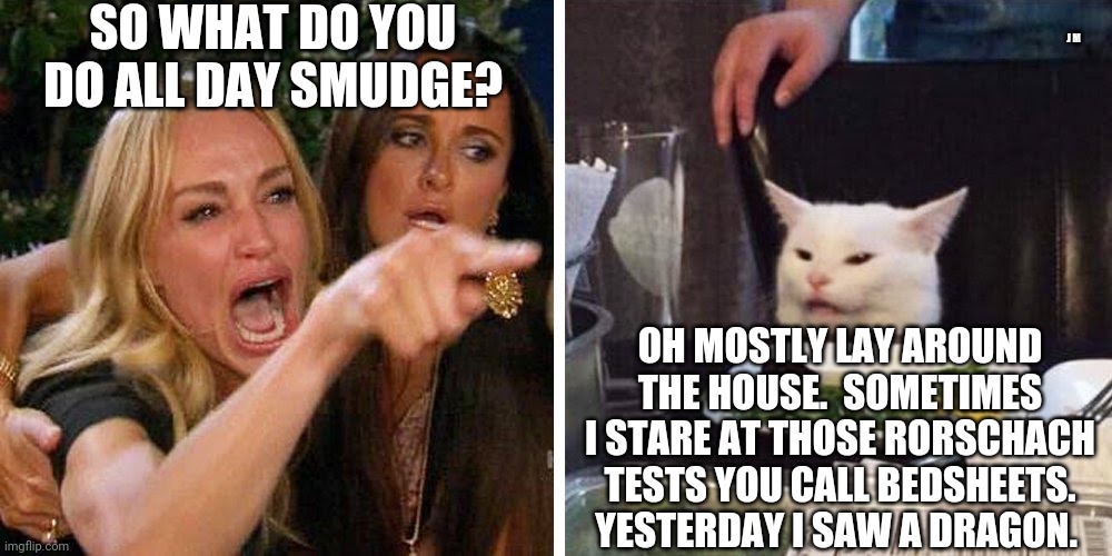 Smudge the cat | SO WHAT DO YOU DO ALL DAY SMUDGE? J M; OH MOSTLY LAY AROUND THE HOUSE.  SOMETIMES I STARE AT THOSE RORSCHACH TESTS YOU CALL BEDSHEETS. YESTERDAY I SAW A DRAGON. | image tagged in smudge the cat | made w/ Imgflip meme maker