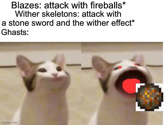 Ghasts in the nether | Blazes: attack with fireballs*; Wither skeletons: attack with a stone sword and the wither effect*; Ghasts: | image tagged in pop cat,minecraft,nether | made w/ Imgflip meme maker