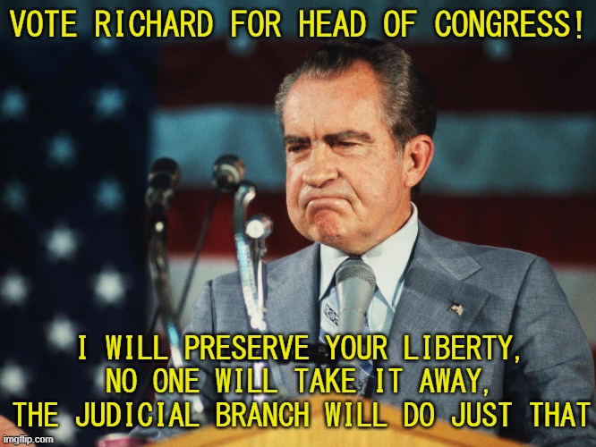 Political Talk! | VOTE RICHARD FOR HEAD OF CONGRESS! I WILL PRESERVE YOUR LIBERTY, NO ONE WILL TAKE IT AWAY, THE JUDICIAL BRANCH WILL DO JUST THAT | image tagged in he yea hea | made w/ Imgflip meme maker